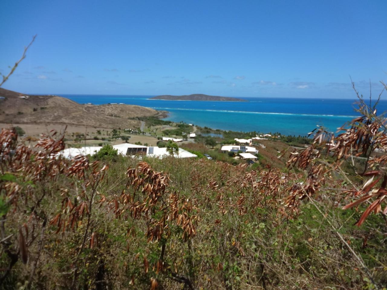 8-D Teagues Bay Eb - Photo 1