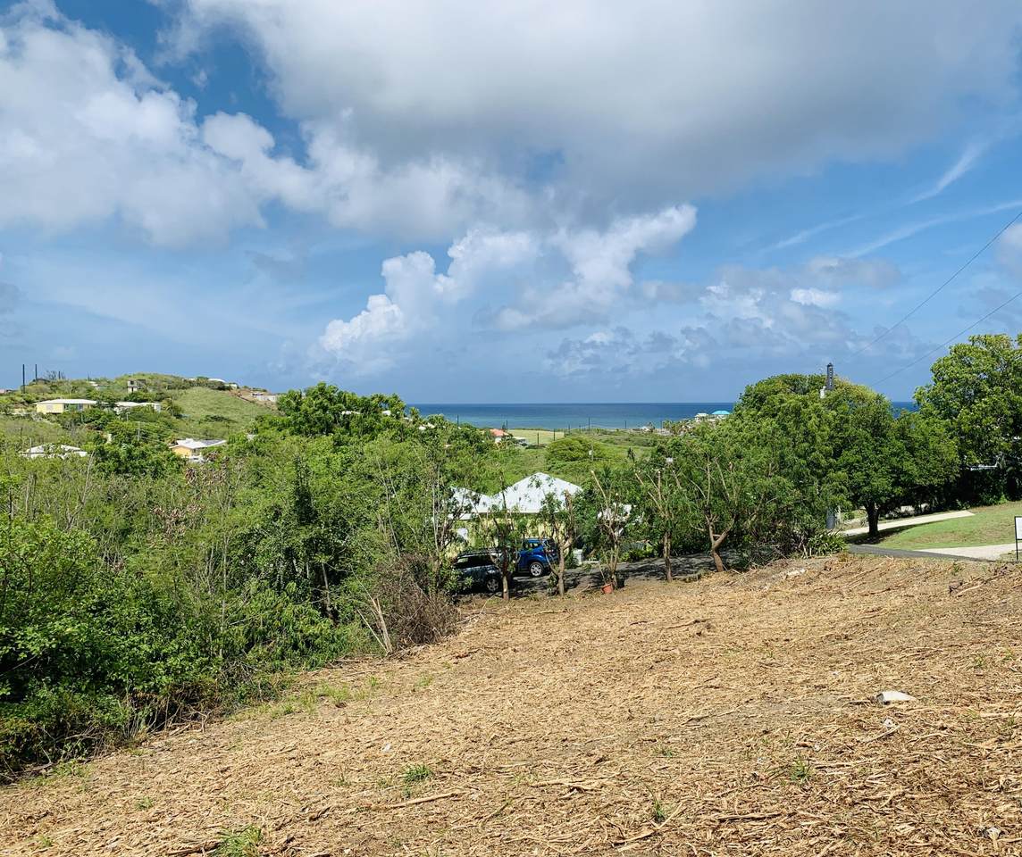 71 Green Cay Ea - Photo 1
