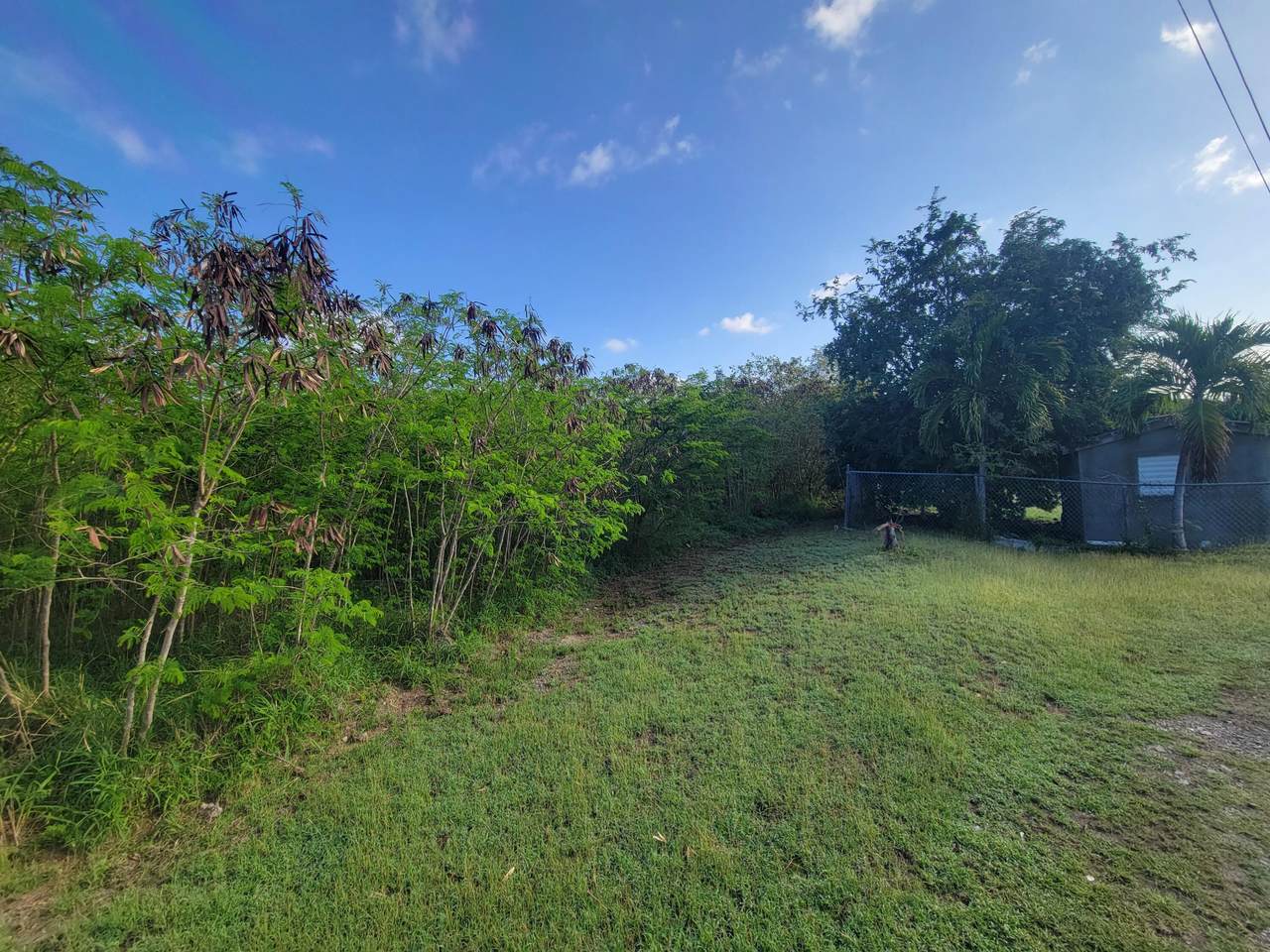 57 St. George Pr - Photo 1