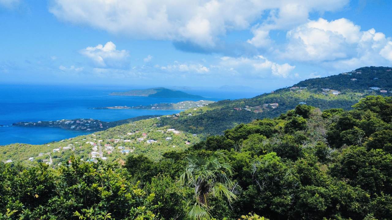 3-0 Dorothea Lns - Photo 1