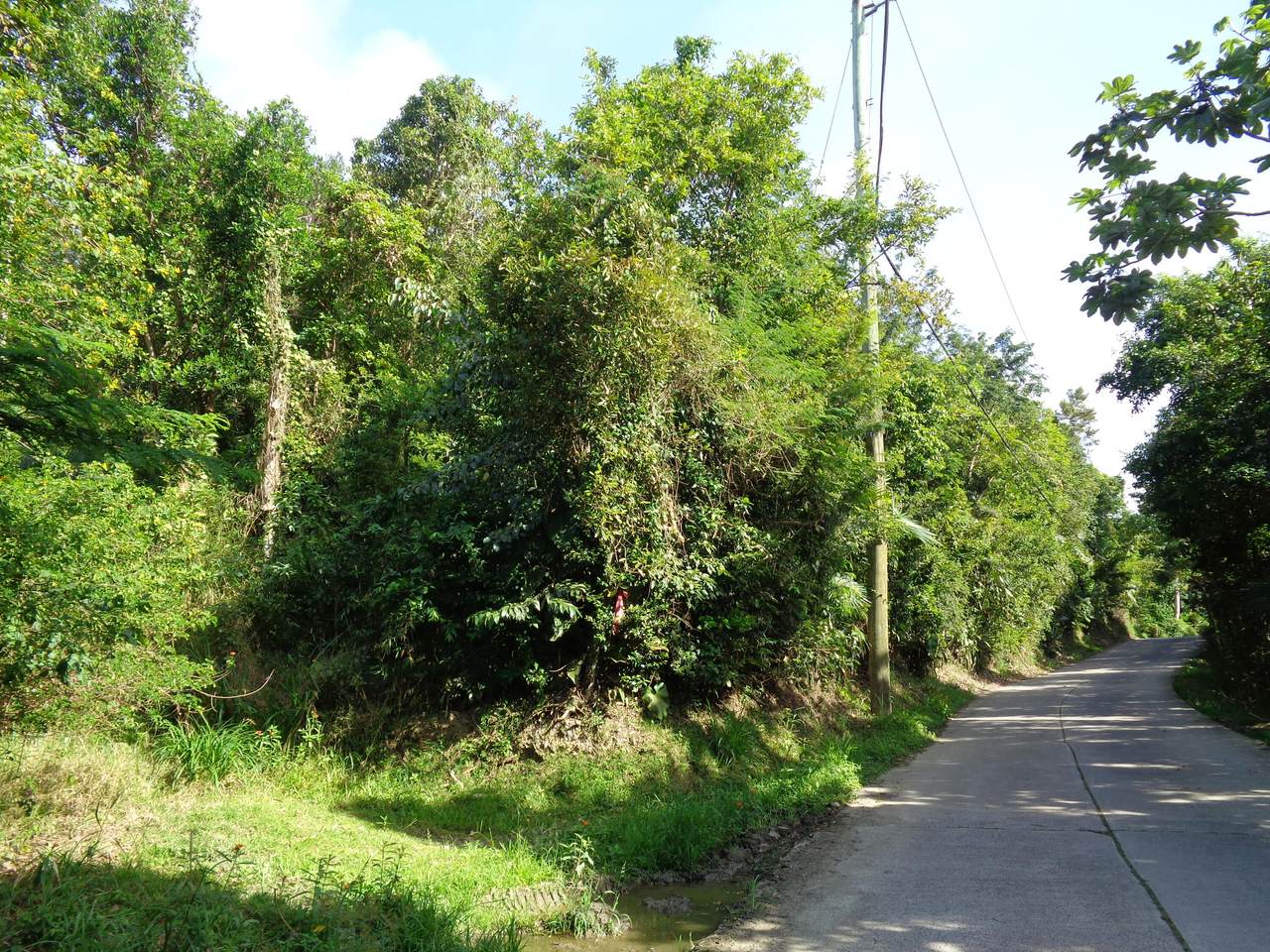 https://bt-photos.global.ssl.fastly.net/stthomas/1280_boomver_2_24-2097-2.jpg