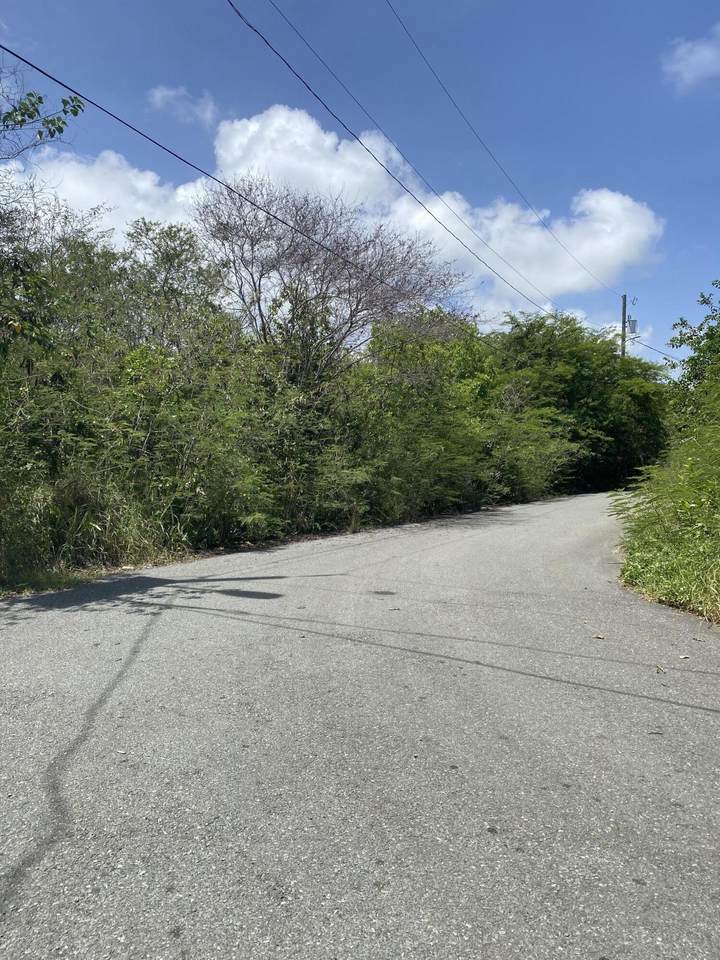 https://bt-photos.global.ssl.fastly.net/stthomas/orig_boomver_2_25-1055-2.jpg