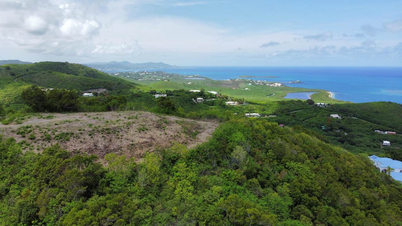 47 & 47 GA Solitude Eb - Photo 1