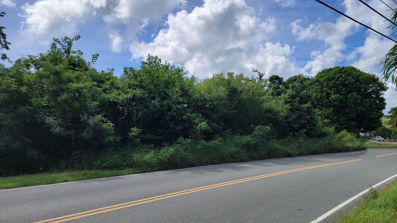 103 Mt. Pleasant Ea - Photo 1