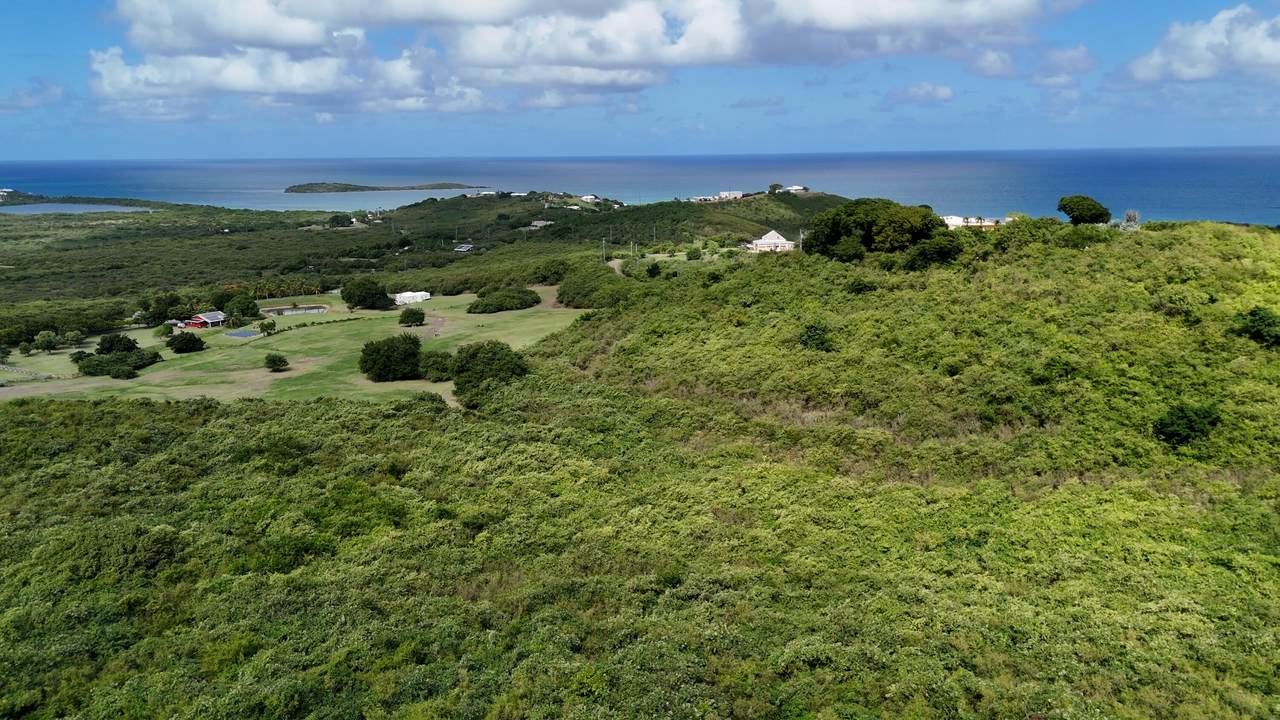 46 Seven Hills Ea - Photo 1