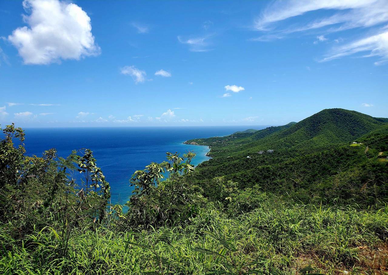 1-G Hermitage Ki - Photo 1