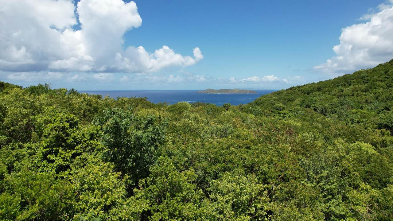 https://bt-photos.global.ssl.fastly.net/stthomas/1280_boomver_2_25-529-2.jpg