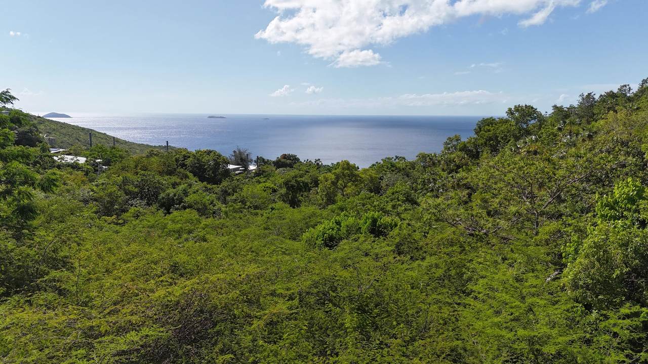 2E-50-B & Caret Bay Lns - Photo 1