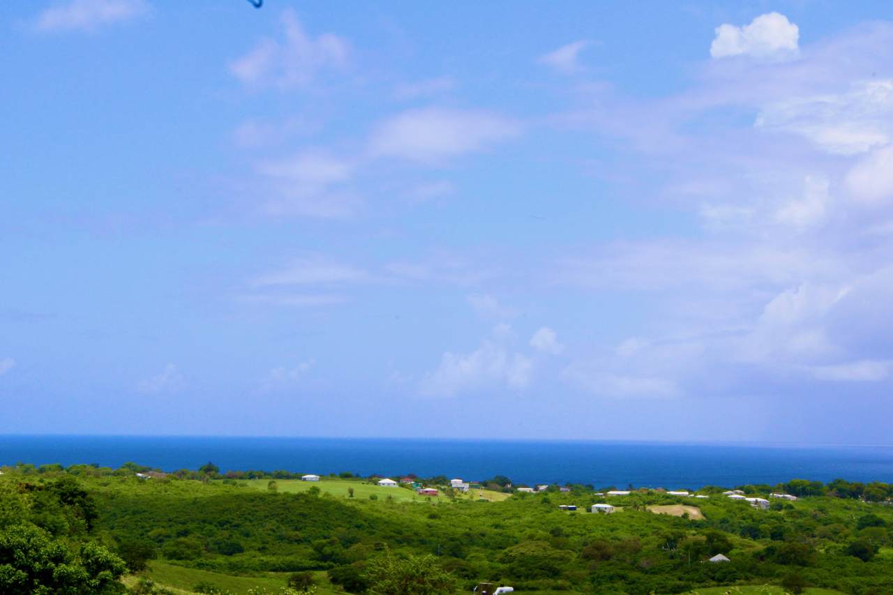 16-C Whim (Two Will) We - Photo 1