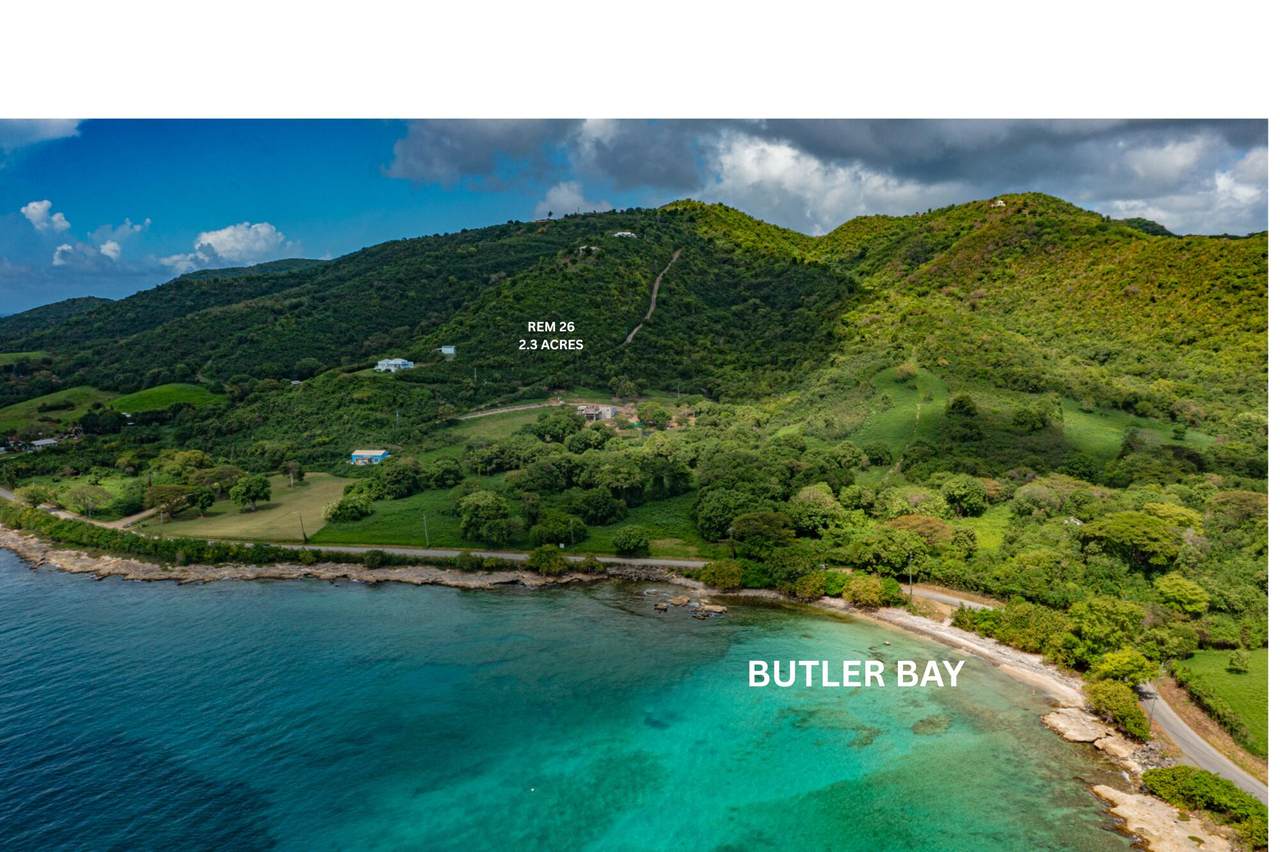 https://bt-photos.global.ssl.fastly.net/stthomas/1280_boomver_1_26-1000-2.jpg