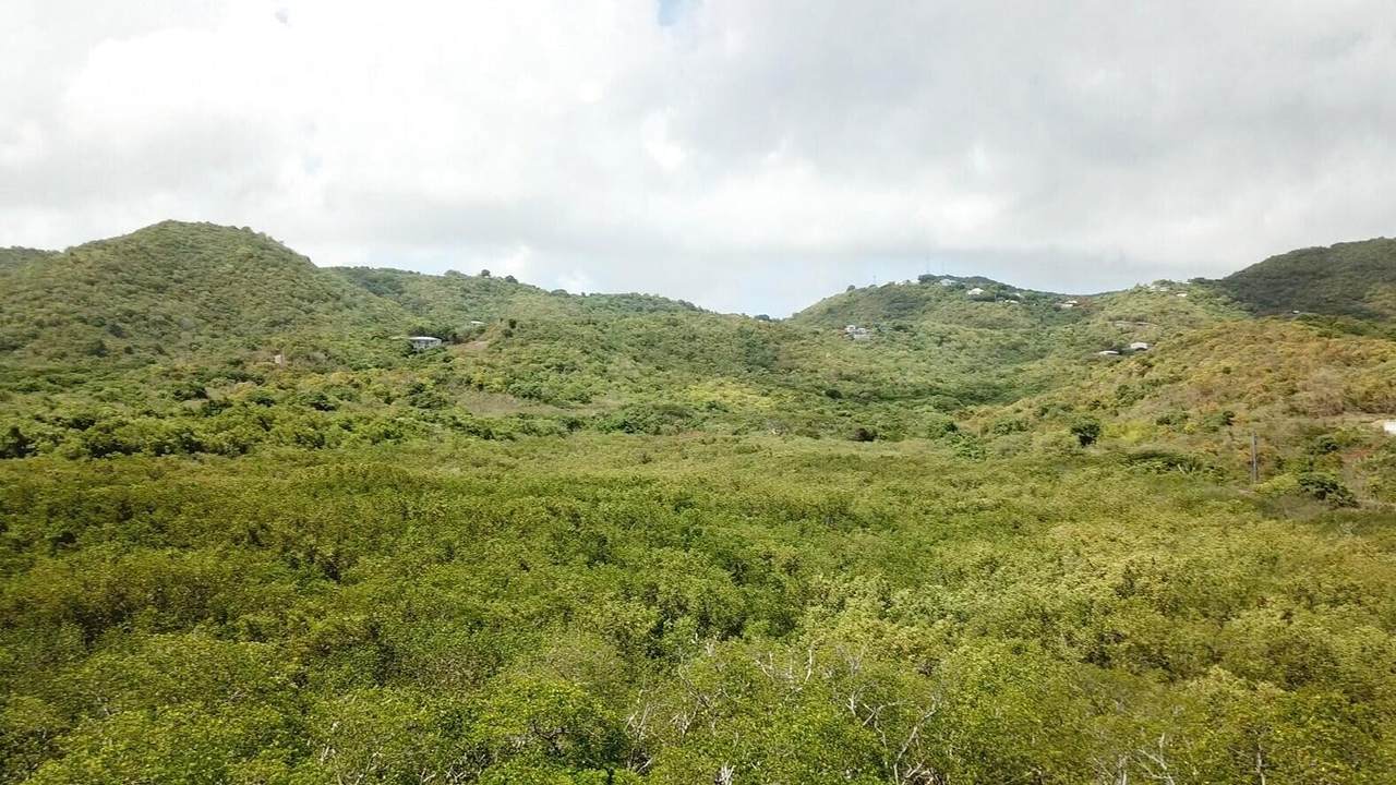 https://bt-photos.global.ssl.fastly.net/stthomas/1280_boomver_2_26-1302-2.jpg