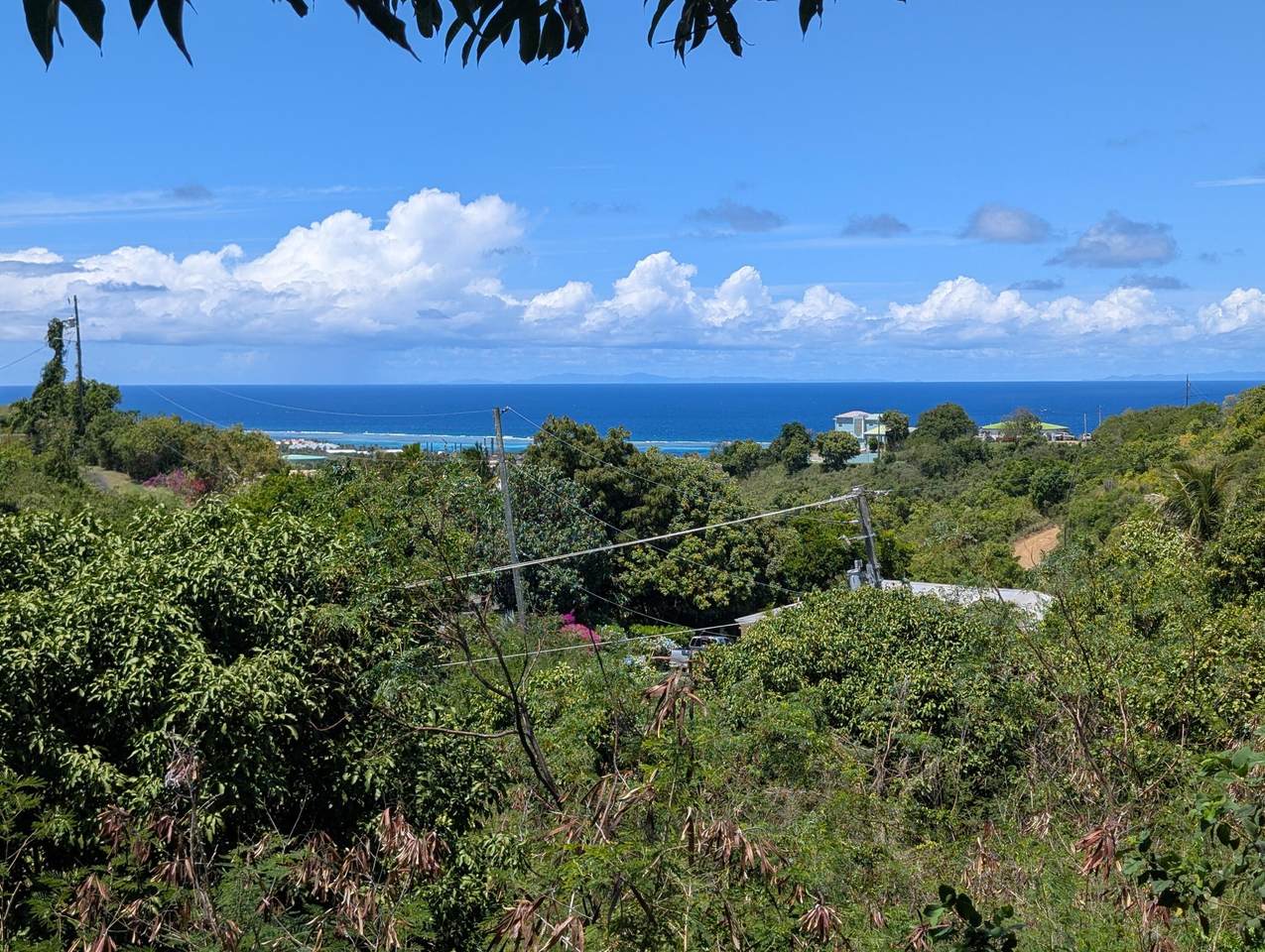 https://bt-photos.global.ssl.fastly.net/stthomas/1280_boomver_2_26-632-2.jpg