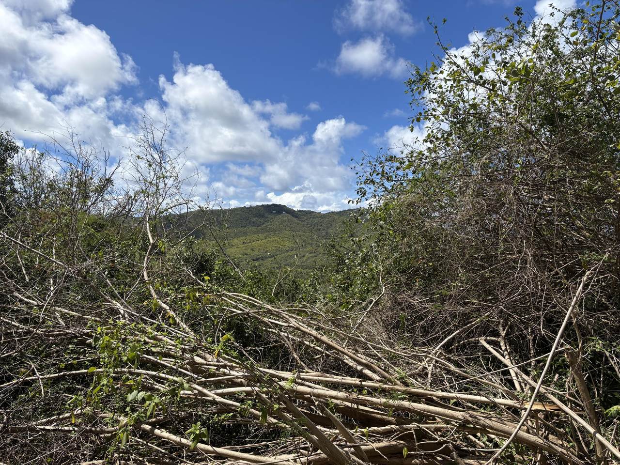 https://bt-photos.global.ssl.fastly.net/stthomas/1280_boomver_2_26-638-2.jpg
