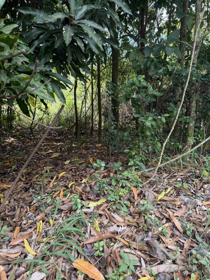 23 Orange Grove We - Photo 1