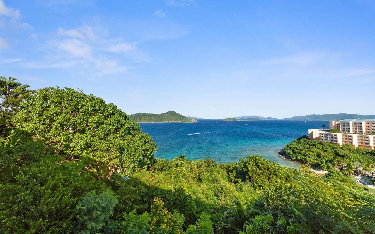 https://bt-photos.global.ssl.fastly.net/stthomas/1280_boomver_3_24-1512-2.jpg