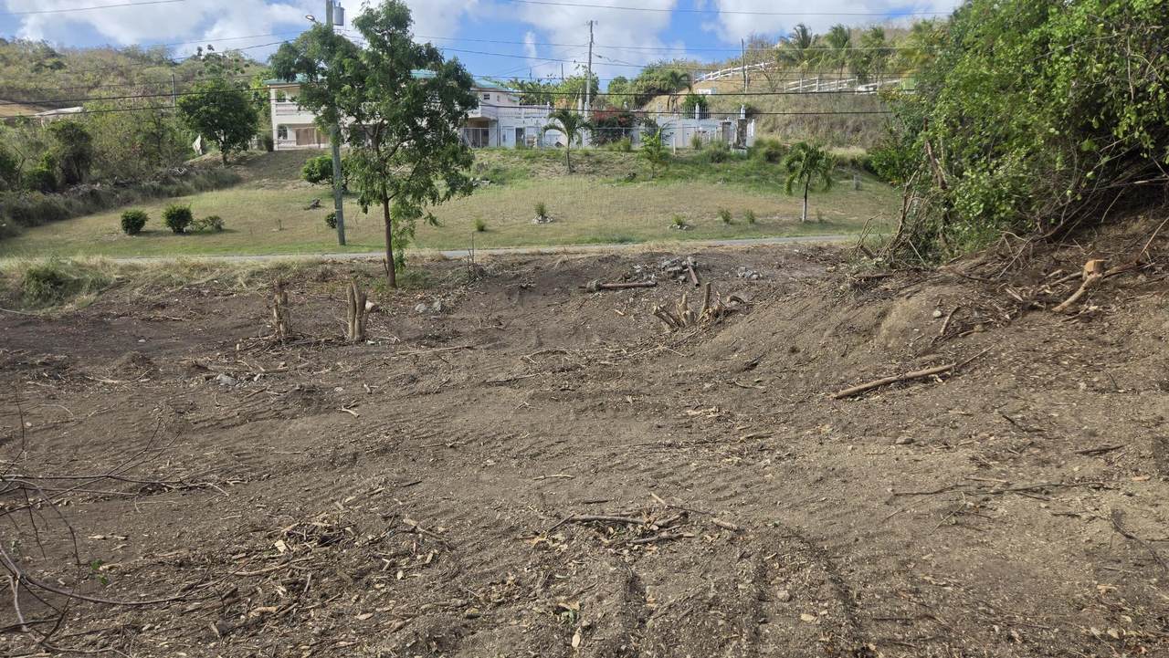 103 Mt. Pleasant Ea - Photo 1