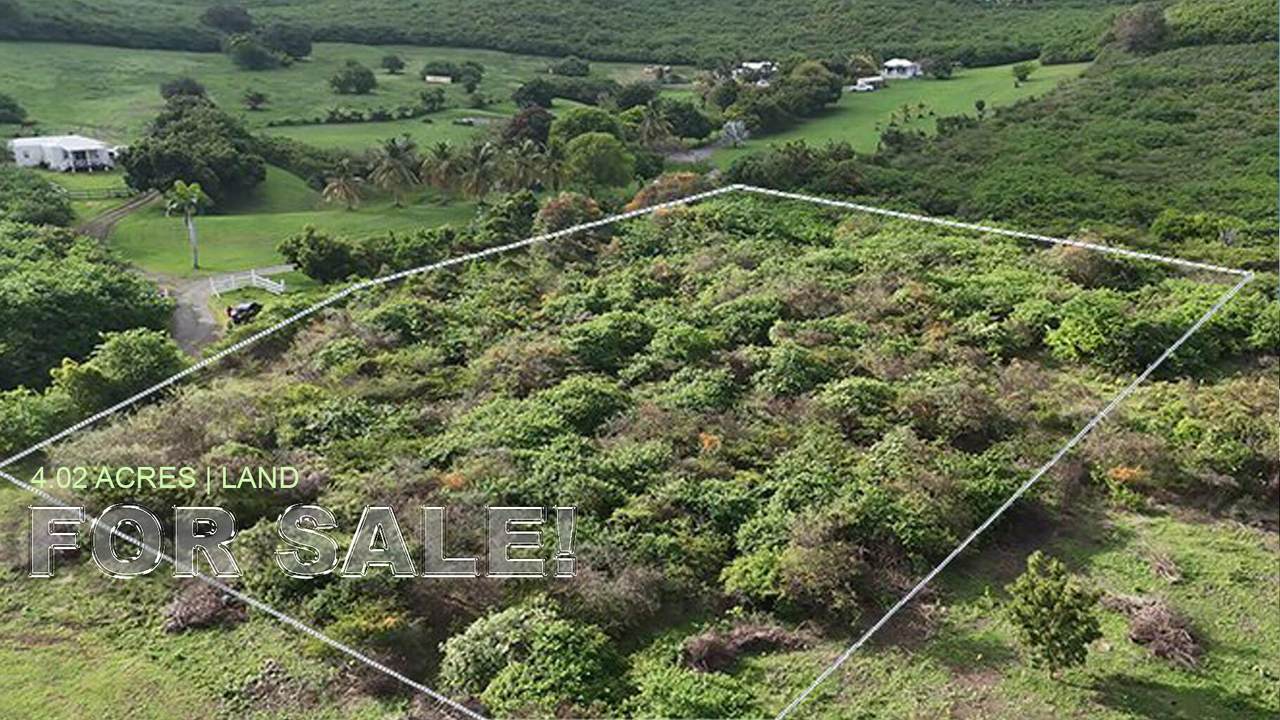 114-H Green Cay Ea - Photo 1