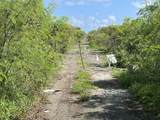 78, 79 etc Cane Pr - Photo 15