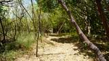 23-A Teagues Bay Eb - Photo 15