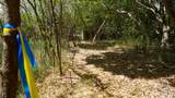 23-A Teagues Bay Eb - Photo 16
