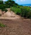 37 Beeston Hill Co - Photo 7