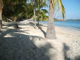 110 Teagues Bay Eb - Photo 50