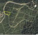 43 Clairmont Nb - Photo 5