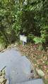 A-15 Smith Bay Ee - Photo 23