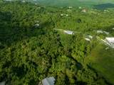 335 Grove Place Pr - Photo 8