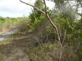 9 Orange Grove We - Photo 10