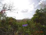 9 Orange Grove We - Photo 11