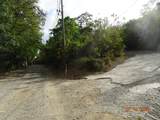 9 Orange Grove We - Photo 2