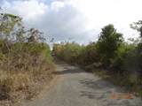 9 Orange Grove We - Photo 5