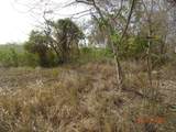 9 Orange Grove We - Photo 6