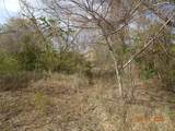 9 Orange Grove We - Photo 7