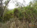 9 Orange Grove We - Photo 8