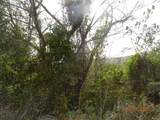 9 Orange Grove We - Photo 9