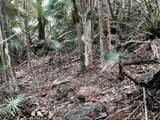 4-25 Botany Bay We - Photo 2