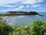 4-5 Botany Bay We - Photo 2