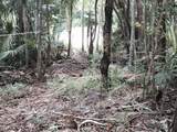 4-26 Botany Bay We - Photo 2