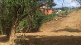 8 Hard Labor Pr - Photo 5