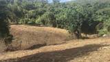 8 Hard Labor Pr - Photo 8