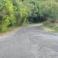54 Marienhoj Ea - Photo 9