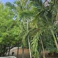 12 Fisher Street Ch - Photo 11