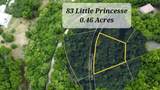 83 Little Princesse Co - Photo 1