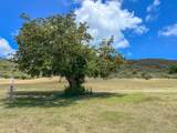 101 Teagues Bay Eb - Photo 38