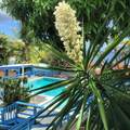 Villa Olga Careening Hole Ki - Photo 2
