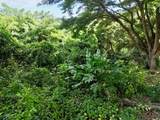45 River Pr - Photo 23