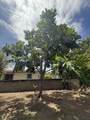 133 Strawberry Hill Qu - Photo 45