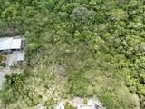 113 V.I. Corp Lands Pr - Photo 3